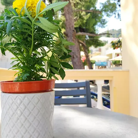 Chrysanthes No4 Apartment